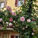 Costanza Con Balcone E Vista Giardino Magreglio