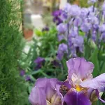 Costanza Con Balcone E Vista Giardino Lägenhet