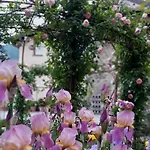 Costanza Con Balcone E Vista Giardino Magreglio