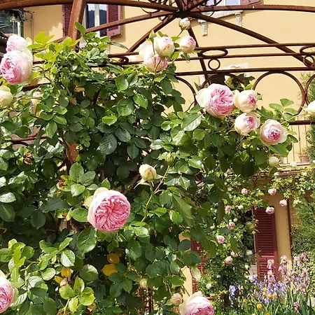Costanza Con Balcone E Vista Giardino Appartement
