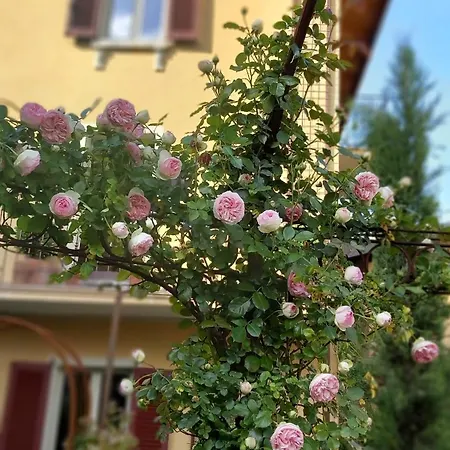 Lägenhet Costanza Con Balcone E Vista Giardino *