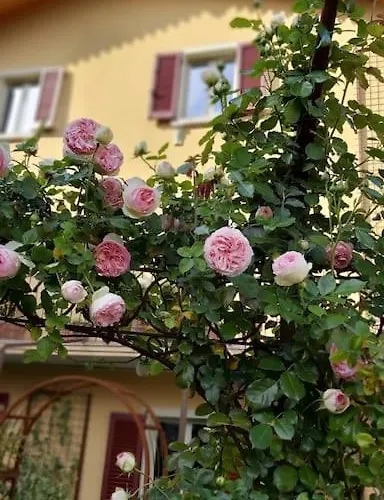 Costanza Con Balcone E Vista Giardino Magreglio