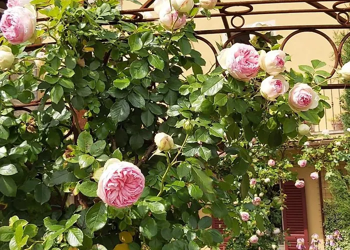 Costanza Con Balcone E Vista Giardino Appartement