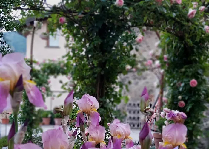 Costanza Con Balcone E Vista Giardino Magreglio