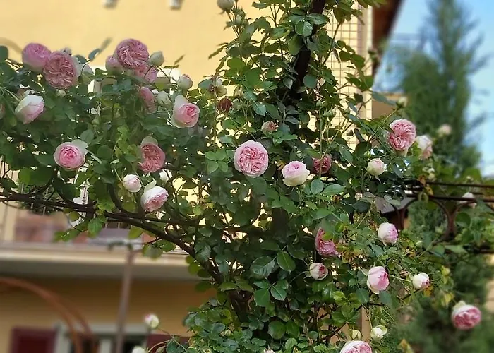 Appartement Costanza Con Balcone E Vista Giardino *