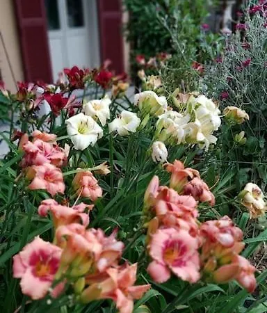 Costanza Con Balcone E Vista Giardino