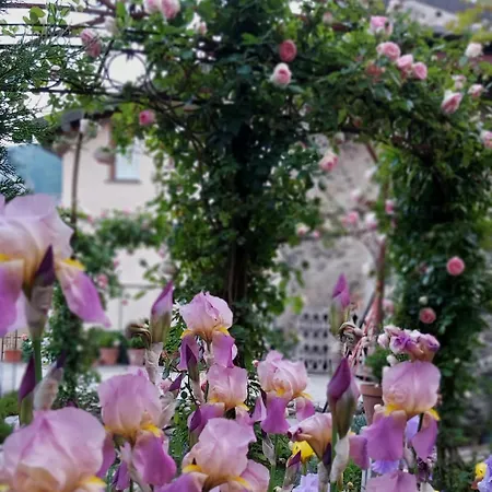 Costanza Con Balcone E Vista Giardino Magreglio