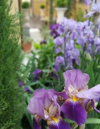 Costanza Con Balcone E Vista Giardino Lägenhet